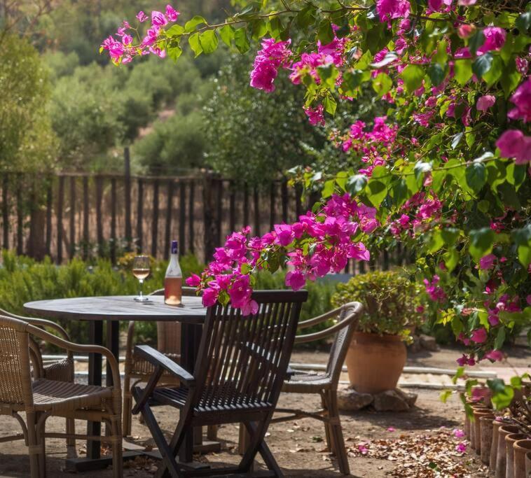 Ranchito De Alhucemas,Piscina Privada Y Barbacoa Villa Montellano Bagian luar foto